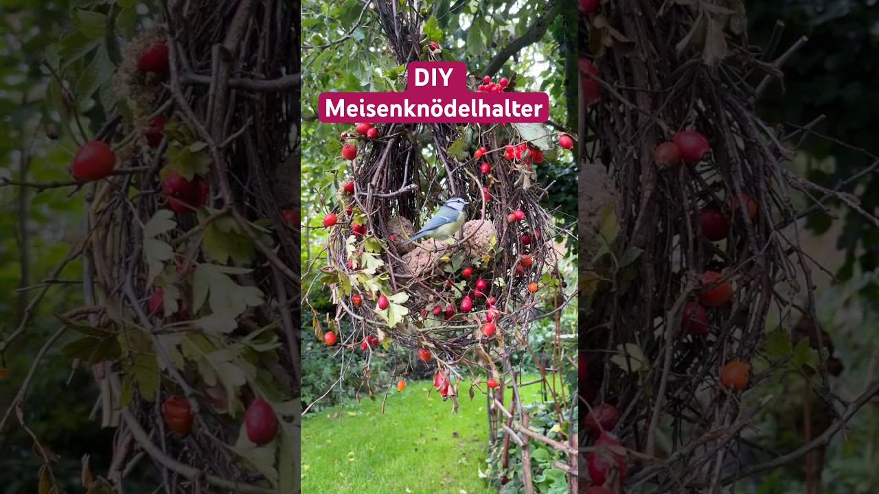 Natürlicher DIY-Meisenknödelhalter 