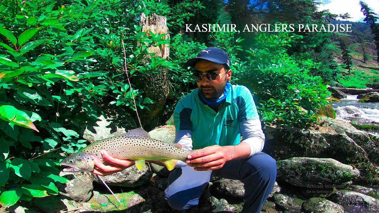 Fly Fishing In Kashmir 20Jun20 Pahalgam Kashmir Fishing In