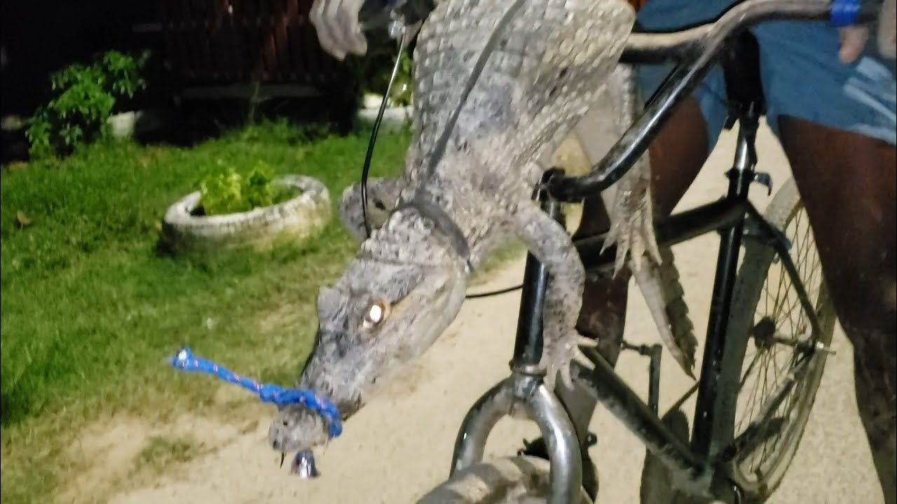 The Best Alligator Hunting Video Hunting Alligator In The Night YouTube