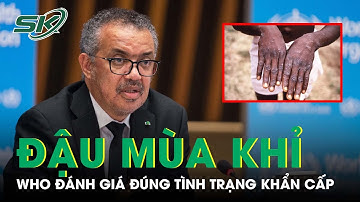 Các Nước Lên Phương Án Ứng Phó Khi WHO Ban Bố Tình Trạng Khẩn Cấp Của Bệnh Đậu Mùa Khỉ |SKĐS
