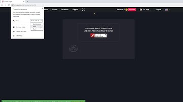 How to enable Flash Player in Google Chrome – [EN]