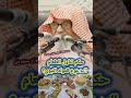 بدعة مولد النبوي 