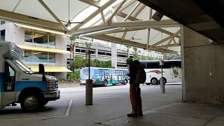 Shuttles and Ex-LYNX Buses @ Orlando International Airport @linkroute42