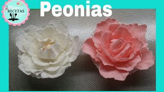 Como hacer Peonia de fondant y pasta de azucar/pasta de goma