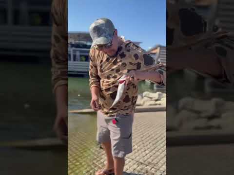 VIBING AND FISHING Sports Reels Viral Dothingsyoudontwanttodo Bass Youareoneofakind