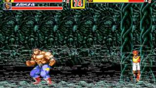 Streets of Rage 2 Netplay-Max and Skate