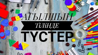 Түстер