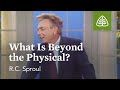 What Is Beyond the Physical?: A Blueprint for Thinking with R.C. Sproul
