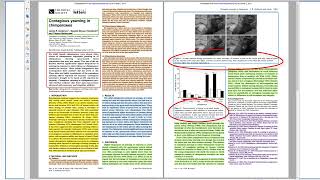 The Structure of Scientific Research Papers