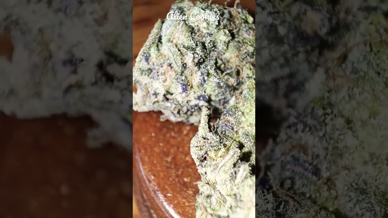 Cali Weed | Alien Cookies | 420 Review