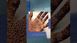 Only 0.1% Have These Phobias Pt. 2