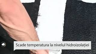 General Reflect Paint Plus