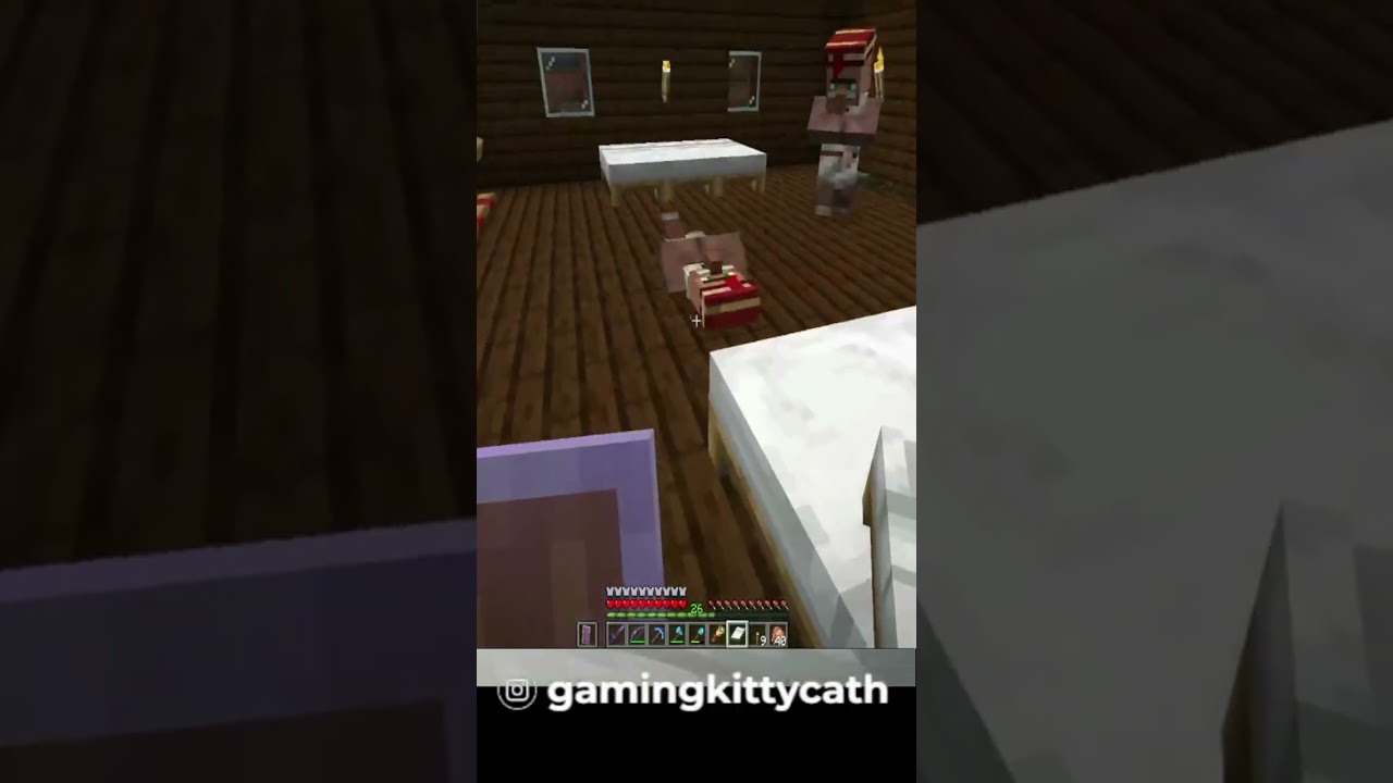 Minecraft - villager [Gaming Kitty Cath]