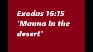 Exodus 16, Manna:  The Book of Exodus, Catholic Bible Study, Exodus, Fr. Tim Peters