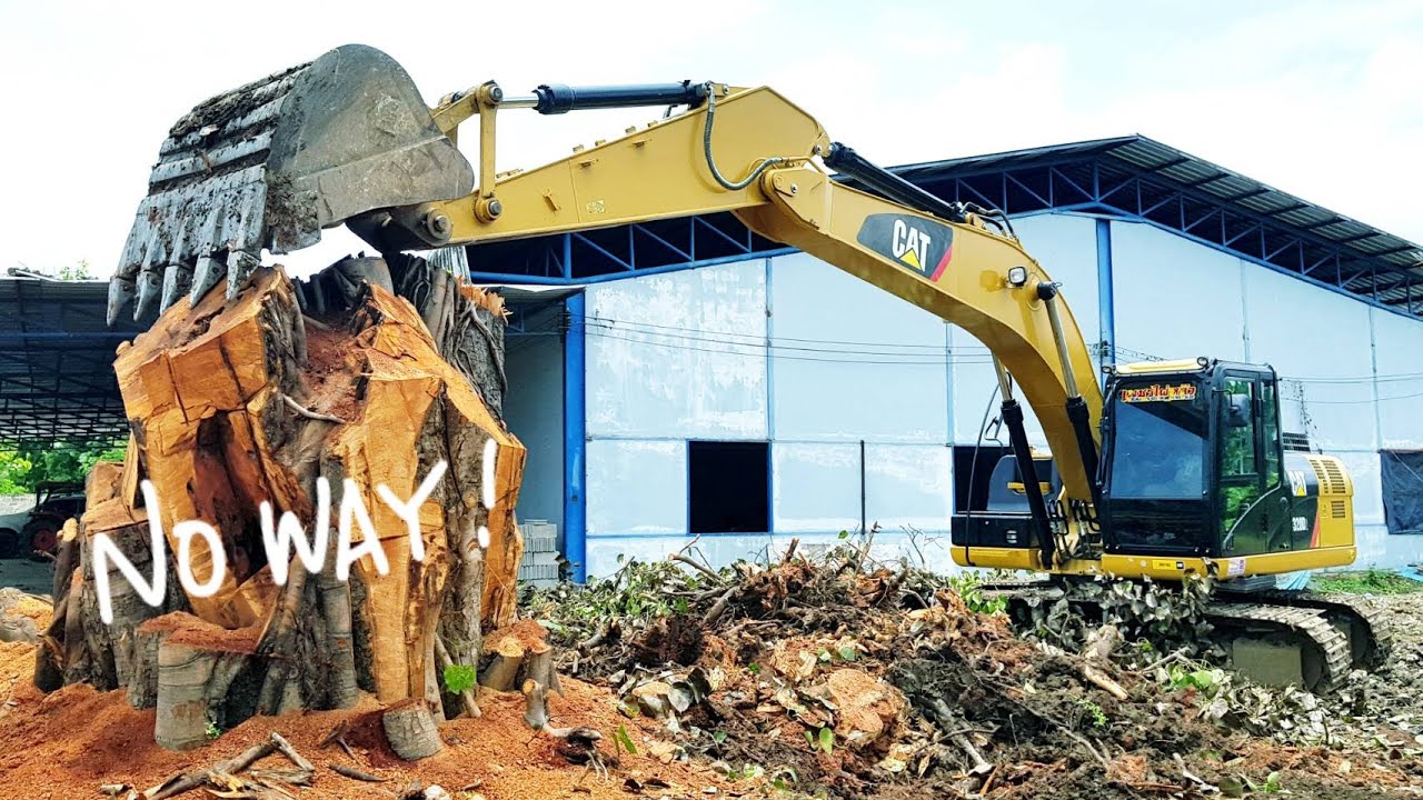 ขุดตอไม้ยักษ์อายุร้อยกว่าปี 💯💯💯 รถแบคโฮ CAT 320D2 งานนี้ต้องใจเย็นๆ ถ้าบุ้งกี๋ไม่แข็งแรงอาจฉีกได้