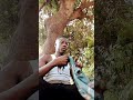Bado Nampenda By Yakobo Tz 