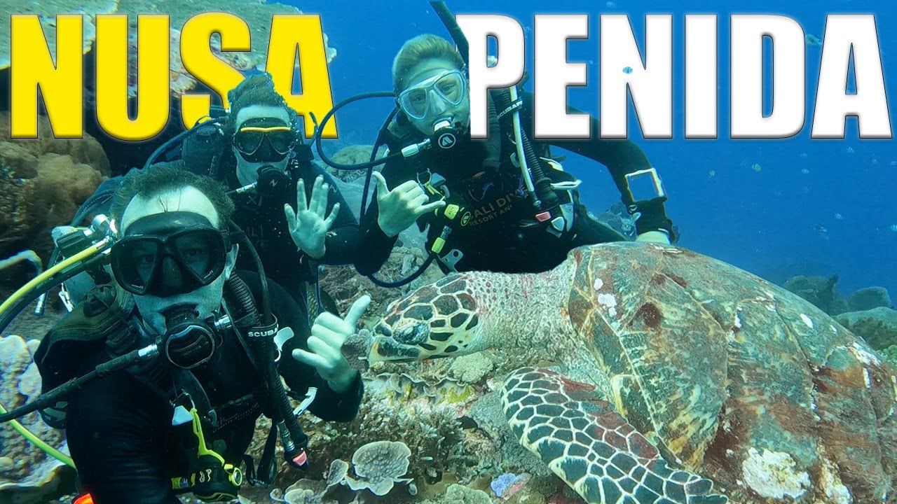 Scuba Diving Nusa Penida The MOST STUNNING Reefs In Bali 🇮🇩 YouTube
