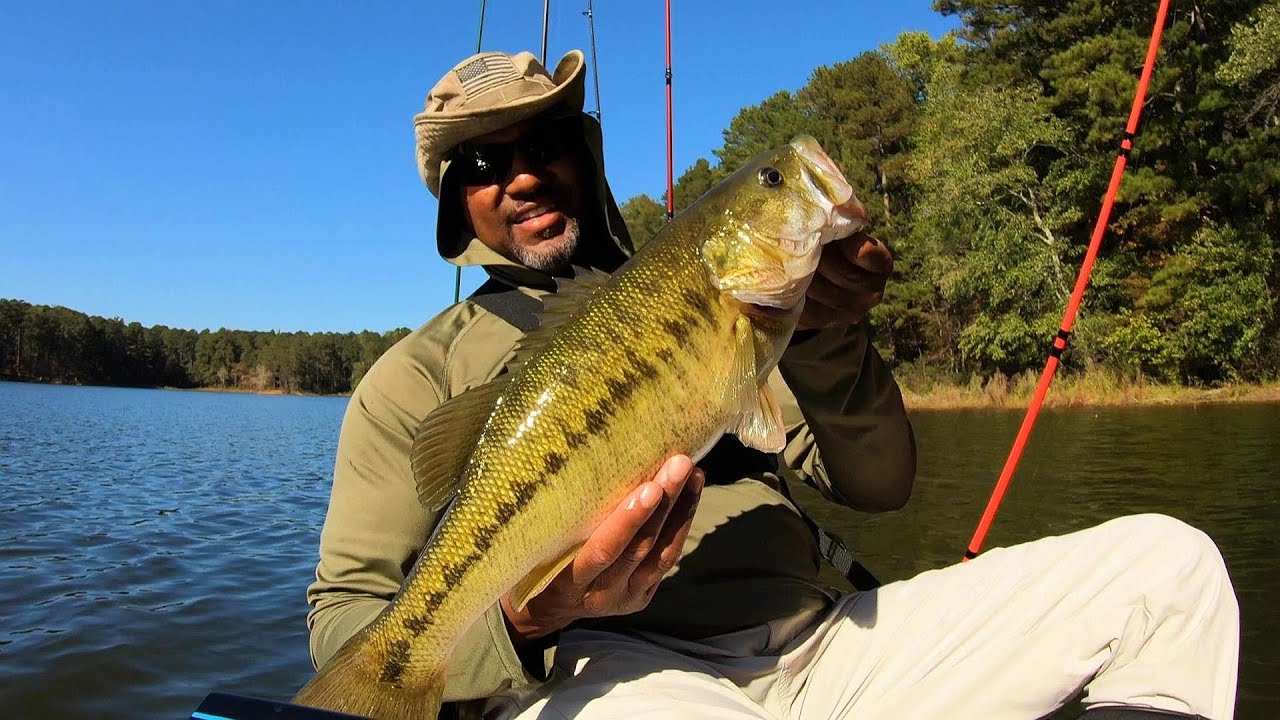 Fort Yargo Spotted Bass Hookup