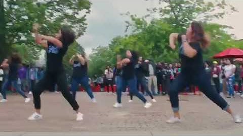 Montclair State Mermaids LTO