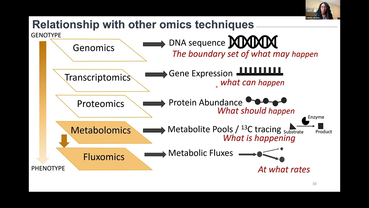 Build-a-Cell seminar Ludmilla Aristilde: Metabolomics-enabled explorations of reaction networks