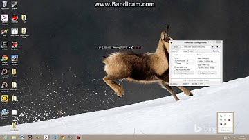 Teamspeak 3 opening problems.