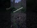 Coming up on the last week of Turkey season here in WV! #hunting #nature #outdoors