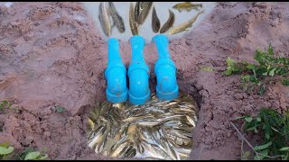 Building Fish Trap Using PVC Water Pipe / AHA Factory