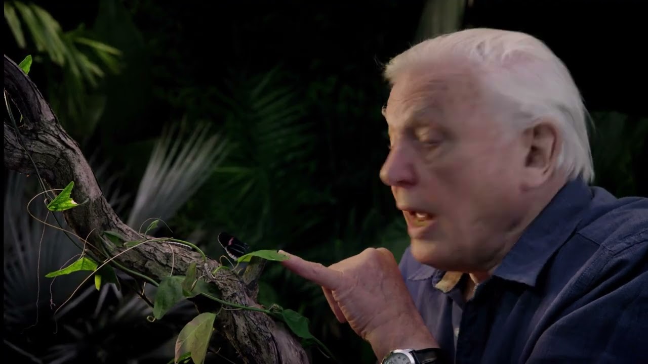 Micro Monsters - Reproduction ( Episode 4 )