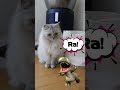 【I'm a dinosaur!🦖】#ai #shorts