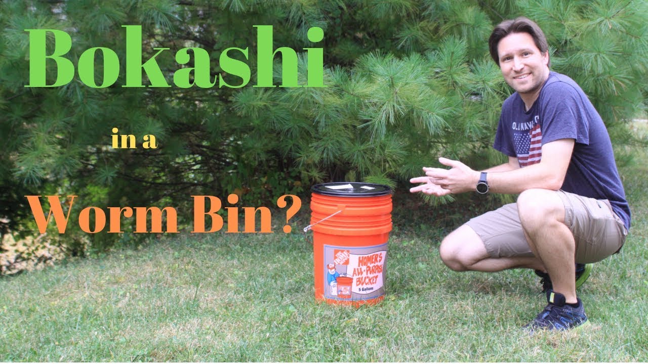 Adding Bokashi Composting Material in a worm bin?(10132019) YouTube