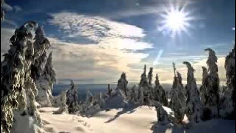 محمد البراك سورة العصر كامله