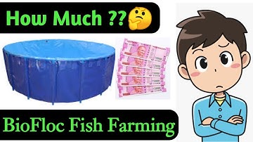 How Much money You Can Earn From 1 Tank In BioFloc !! BioFloc Fish Farming India