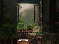 cozy rain window lofi 🌧️ peaceful green view for focus