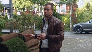 Газон «Элитный Партерный» Газон «Элитный Партерный»