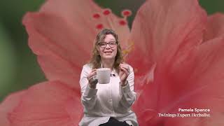 Celebrity Tasting our Soulful Blends Range Wealth