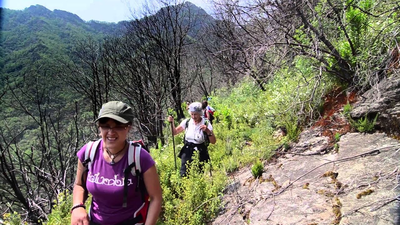 Click to Watch Video