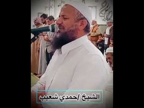 فضلية الشيخ حمدي شعيب 