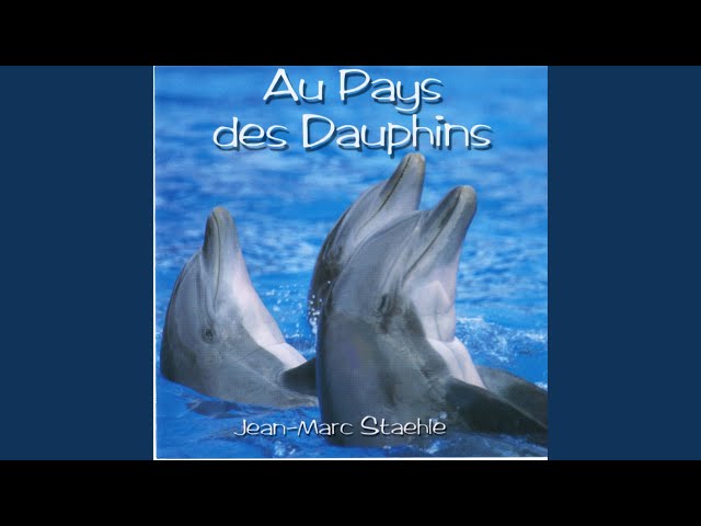 Jean-Marc Staehle - L'Ile aux dauphins
