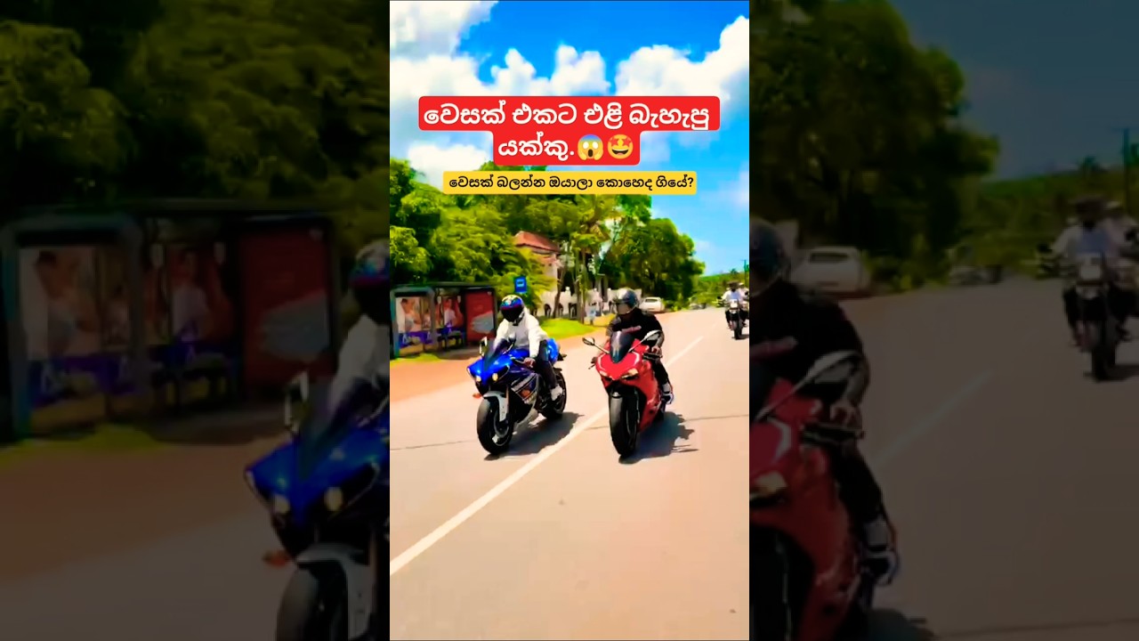 වෙසක් හොල්ලපු බයික් සෙට් එක.🤩😱#trending #automobile #1million #foryou #shorts #viral #bike #wesak