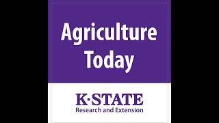 1524 - Cattle Market...Improving Ponds