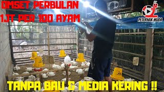 Ternak Ayam Broiler 100 ekor ,Ulasan & Analisa. 