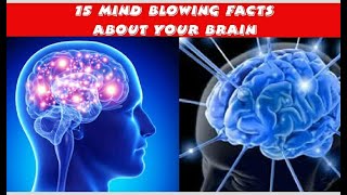 15 Interesting Facts about your brain explain in Telugu || Telugu