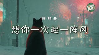 鄭暢業 - 想你一次起一陣風｜Zheng Changye - Xiang Ni Yi Ci Qi Yi Zhen Feng【高音质・中英拼音动态歌词】郑畅业-想你一次起一阵风