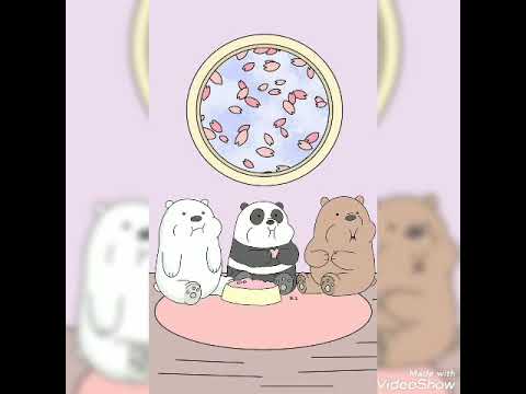 خلفيات دبب الثلاثة 