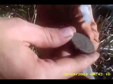 Sestertius