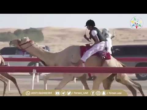 محمد بن زايد يزور خميس راشد سبت الخييلي في منزله