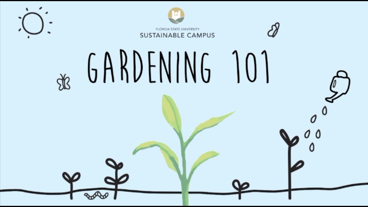 Gardening 101: How to Read a Seed Packet 