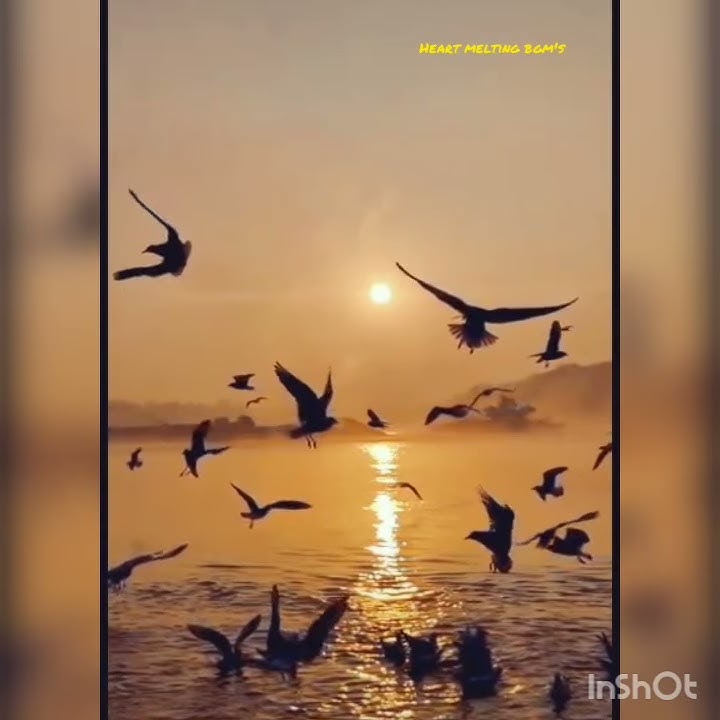 Naan nee naam vazhave song/ bgm/ Madras 😊