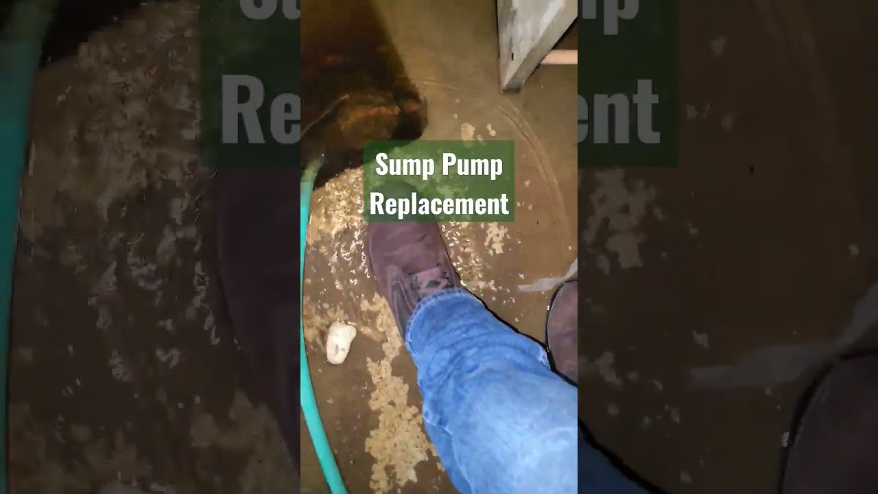 What is Basement Waterproofing? Here are some of the skills Basement Waterproofing Companies Provide