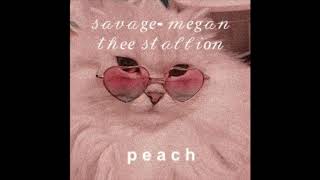 savage - megan the stallion (slowed n reverb)